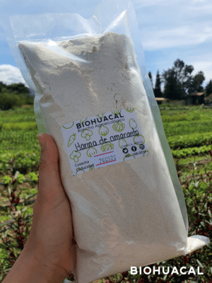 Harina de Amaranto Biohuacal | Bolsa de 400 gr