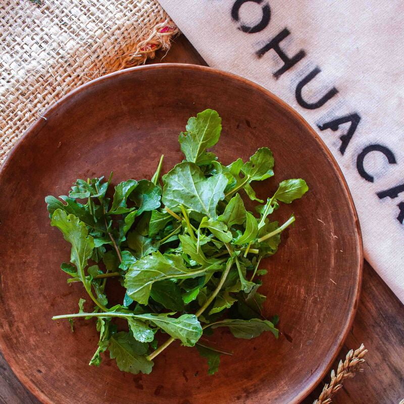 Arugula Bolsa CHICA de 125g