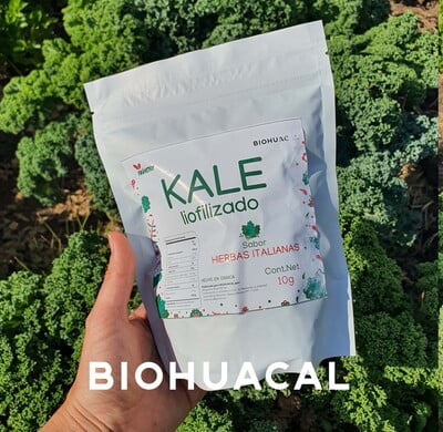 Kale Liofilizado FINAS HIERBAS| Bolsa de 10 g
