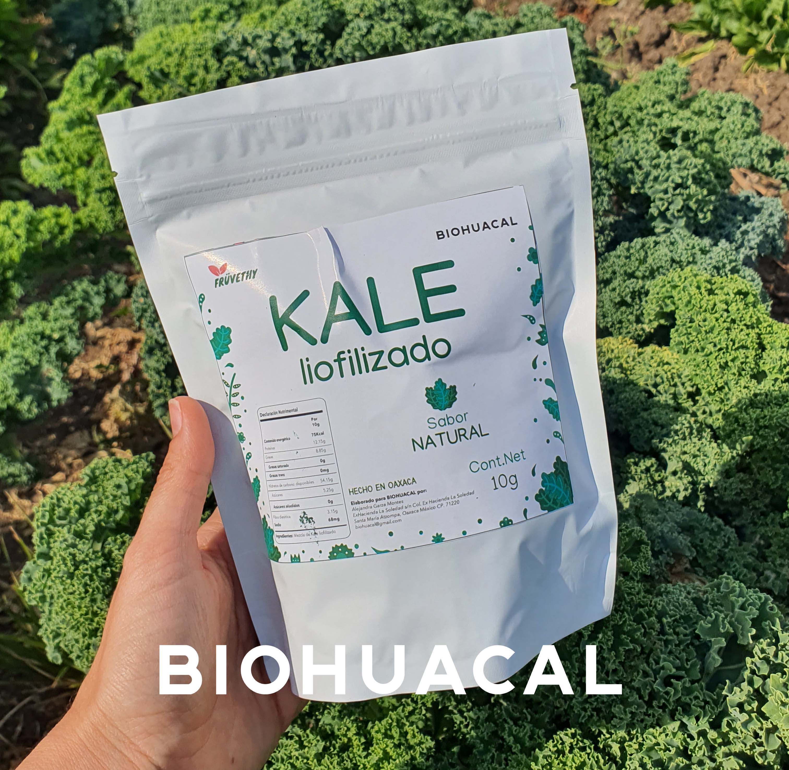 Kale Liofilizado NATURAL | Bolsa de 10 gr