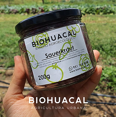 SAUERKRAUT Biohuacal | Bote de 200g